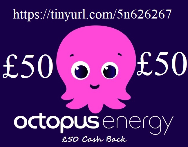 Octopus Energy logo representing renewable energy solutions and flexible tariffs